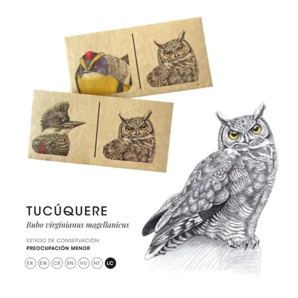 Dominó de Aves de Chile – Juego Educativo y Cultural para Niños 🐦 - Image 2