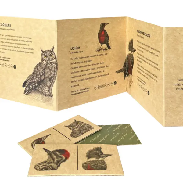 Dominó de Aves de Chile – Juego Educativo y Cultural para Niños 🐦 - Image 4